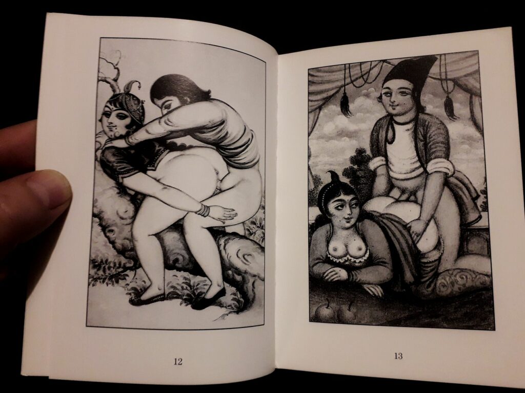 Dessins érotiques femmes en levrette